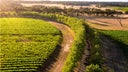 Howard Park Wines