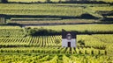 Domaine Bachelet-Monnot