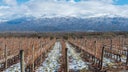 Bodega Salentein