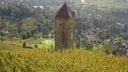 Domaine Andre et Mireille Tissot