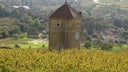 Domaine Andre et Mireille Tissot