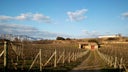 Artadi