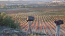 Bodegas Roda