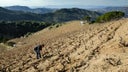 Terroir Al Limit