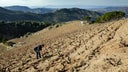 Terroir Al Limit