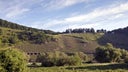 Weingut Clemens Busch