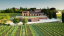 Azienda Agricola Poliziano