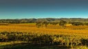 Grant Burge Wines