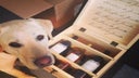 Jonata Wines