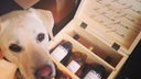 Jonata Wines