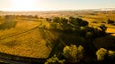 Chateau Quintus