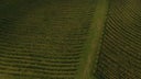 Tenuta di Arceno