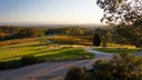 Giaconda Vineyard & Winery