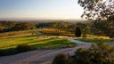 Giaconda Vineyard & Winery