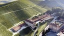 Fontanafredda