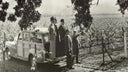 Beaulieu Vineyard
