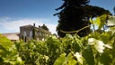 Chateau Rouget