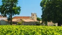 Chateau Potensac