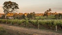 Adelaide Hills