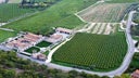 Amarone della Valpolicella Classico
