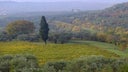 Amarone della Valpolicella Valpantena