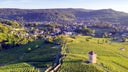 Arbois