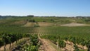 Bairrada