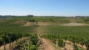 Bairrada