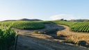 Ballard Canyon