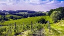Bergerac