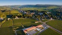 Bienvenues-Batard-Montrachet