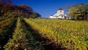 Bourgogne Hautes Cotes de Nuits