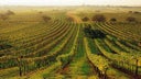 Burgenland