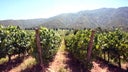 Cachapoal Valley