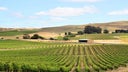 Calistoga
