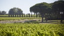 Canon-Fronsac