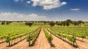 Castilla VT