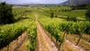 Central Valley - Chile