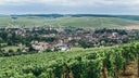 Chablis
