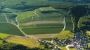Chablis Beauroy