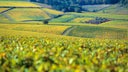 Chablis Grand Cru Les Clos