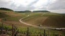 Chablis Grand Cru Vaudesir