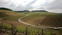 Chablis Grand Cru Vaudesir