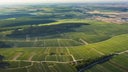 Chablis Vaillons