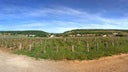 Chambolle-Musigny Les Amoureuses