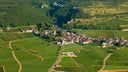 Chambolle-Musigny Les Borniques