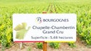 Chapelle-Chambertin