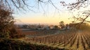 Chassagne-Montrachet Clos Saint-Jean