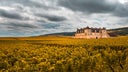 Clos de Vougeot