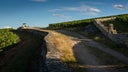 Clos des Lambrays